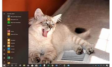 Cats Anytime Windows 7 Theme for Windows - Download it from Habererciyes for free